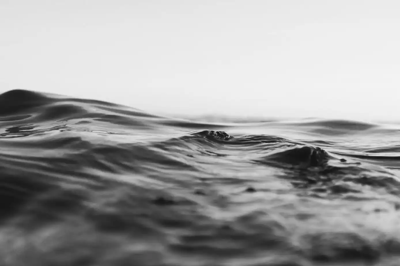 eliah-brown-waves.webp